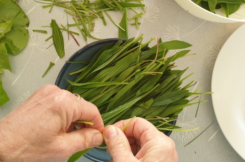 La cuisine des plantes sauvages : La soupe aux 9 herbes de Pâques <em>(de Valérie Cembalo)</em>