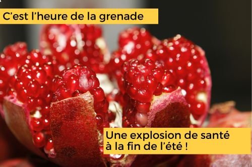 La grenade explose de santé ! <em>(de Pascal Villeroy)</em>